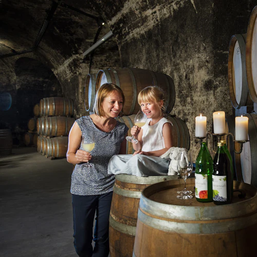 Klosterneuburg Abbey: Wine and Tasting Tour from Vienna by E-Bike - Photo 3