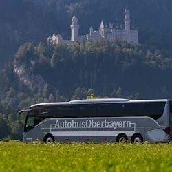 Neuschwanstein & Linderhof Castles: Guided Tour from Munich 5
