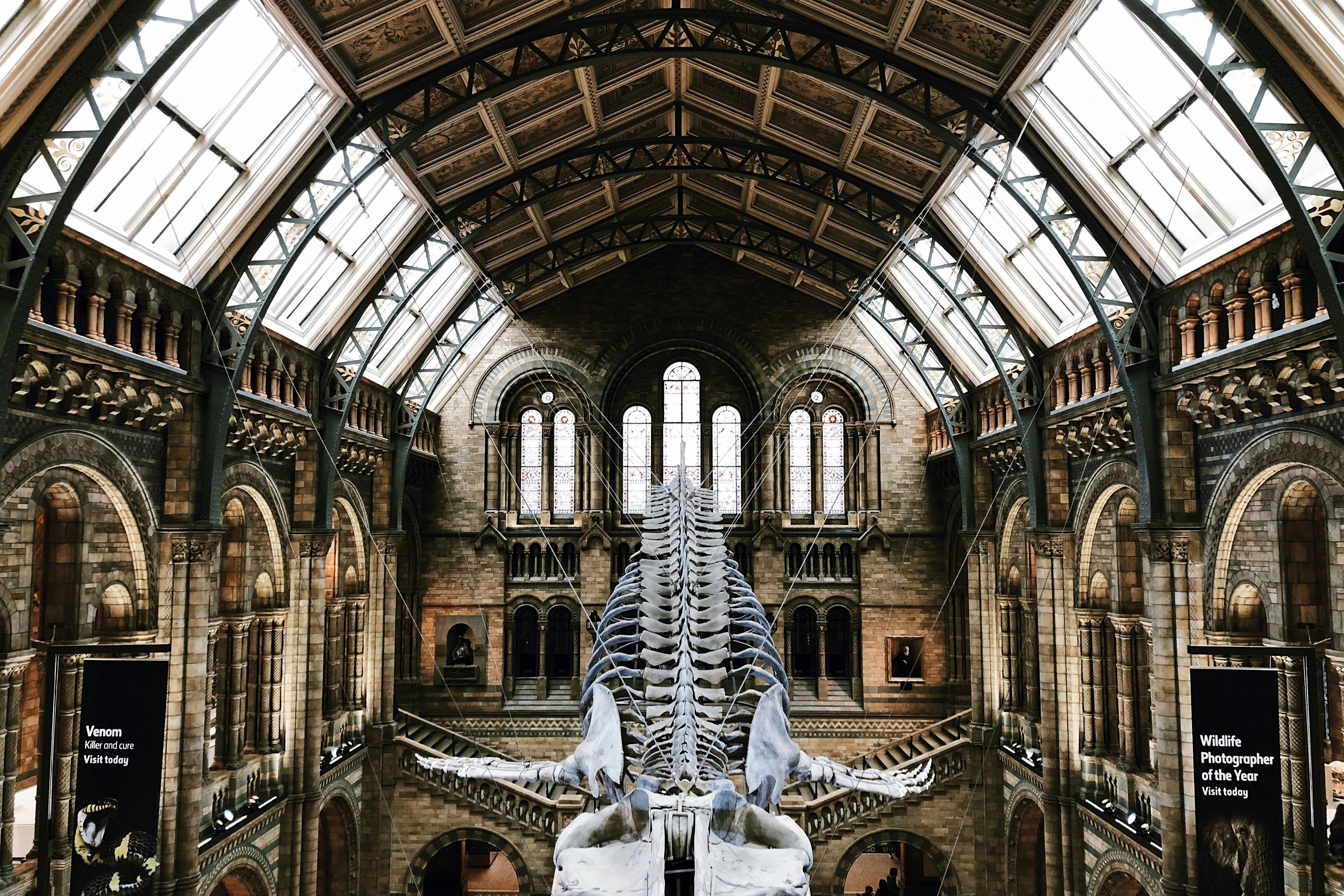 4 doporučených zážitků v destinaci <City 67458>: Přírodopisné muzeum Londýn