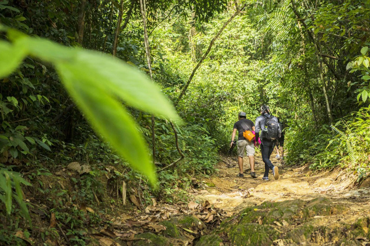 Phuket: Khao Phra Thaeo National Park Guided Trek + Lunch + Transfer