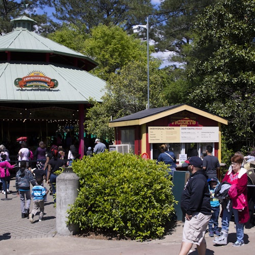 Zoo Atlanta: Entrada