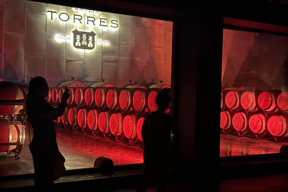 Aging room at the wine cellar