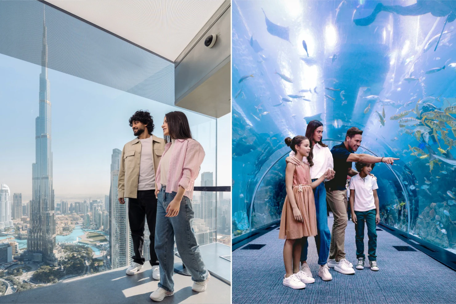 Aquário do Dubai e Observatório Sky Views: Bilhete de entrada + escorrega de vidro