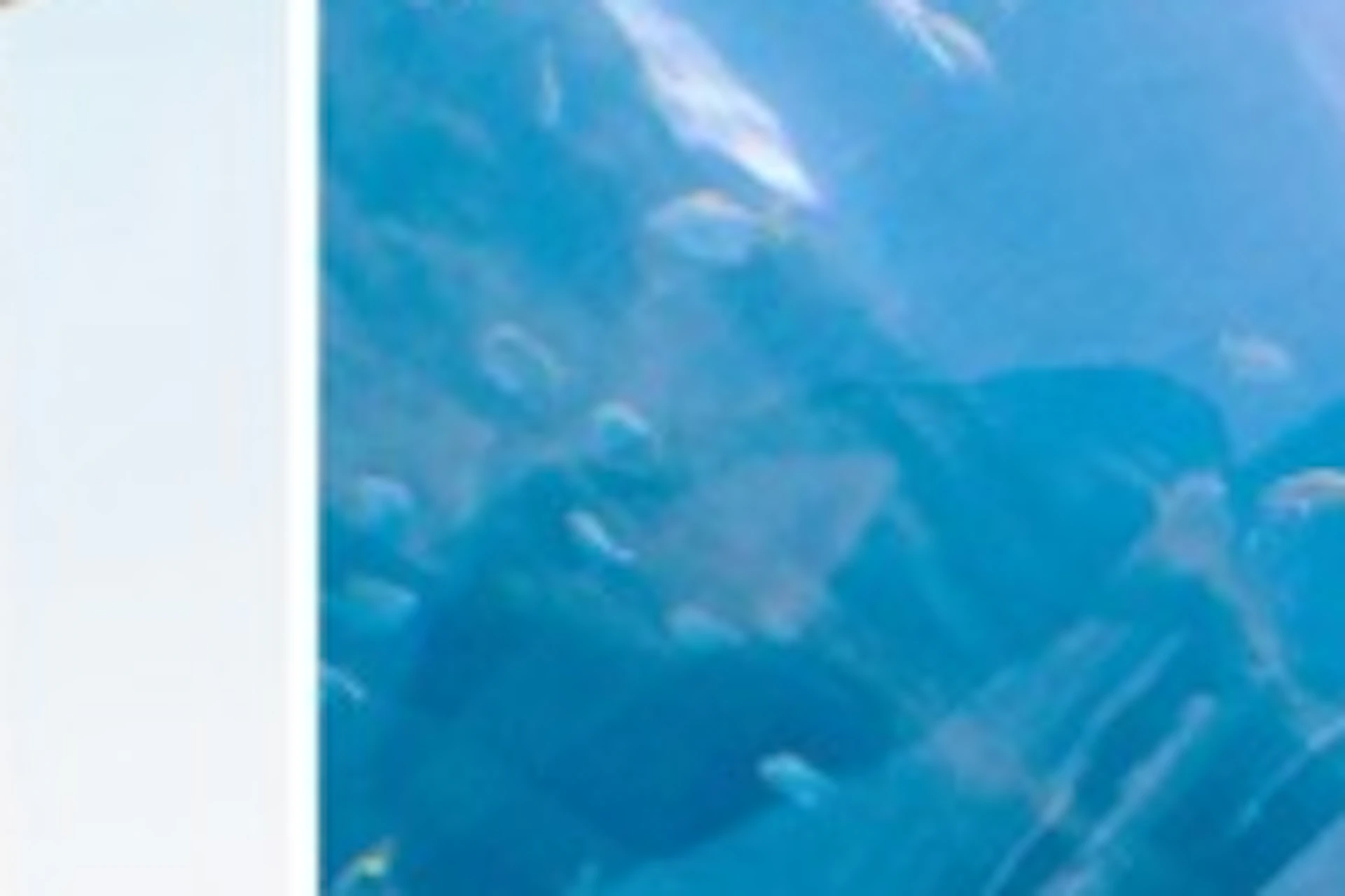 Dubai Aquarium + Sky Views Combo