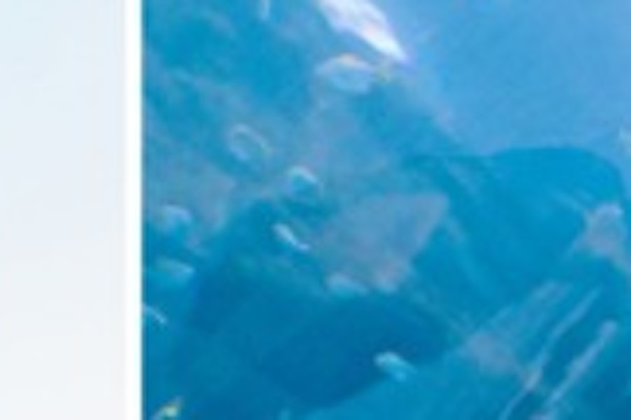 Combo Dubai: Billetter til Aquarium og Sky Views Observatory med glasrutsjebane