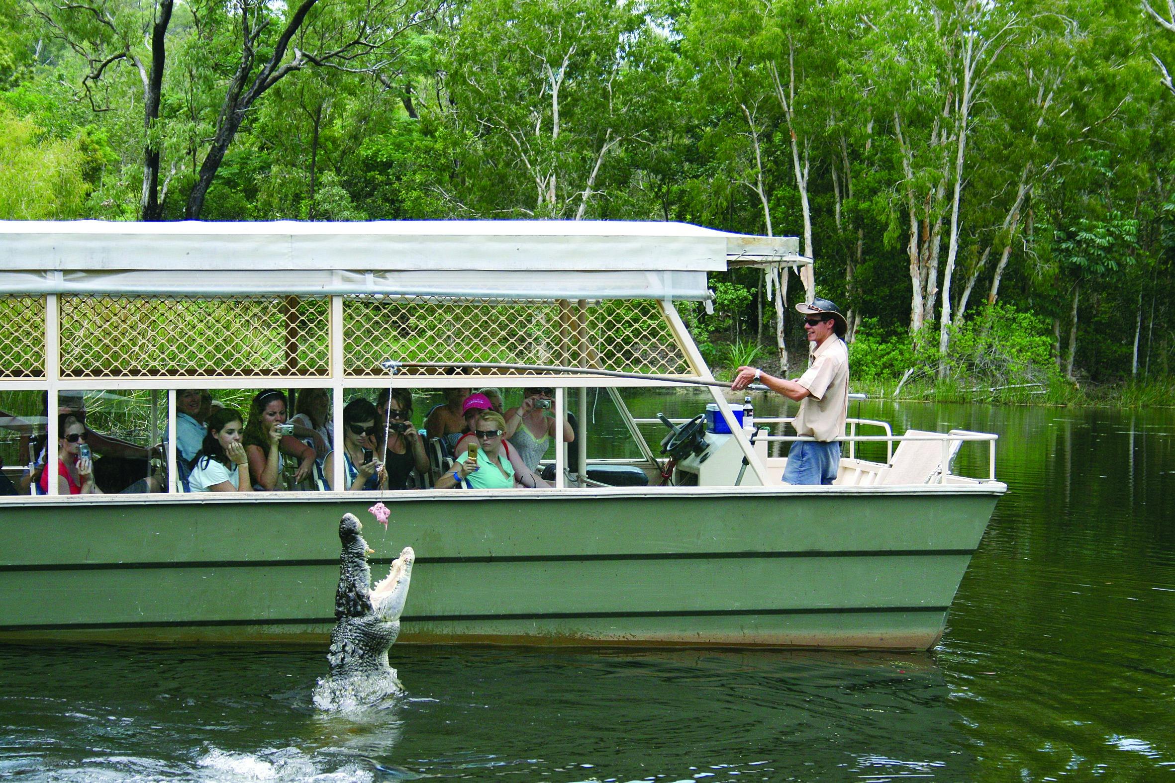 緑豊かな環境で観察している人々でいっぱいのツアーボートの近くで、ワニが水から飛び降ります。