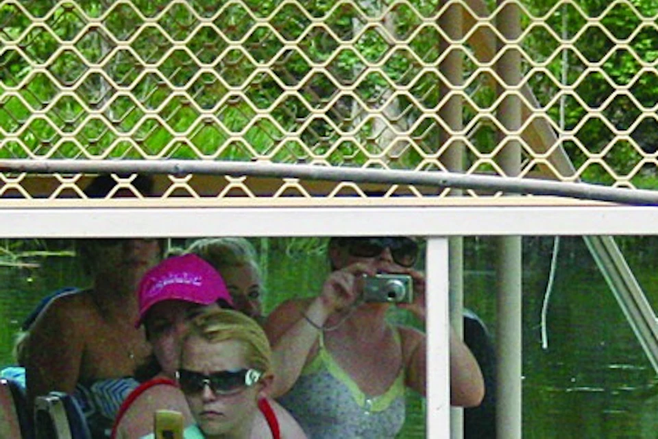 A crocodile jumps out of the water near a tour boat filled with people observing in a lush, green environment.