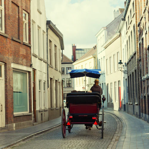 Bruges: Visita guiada + transporte - Photo 3