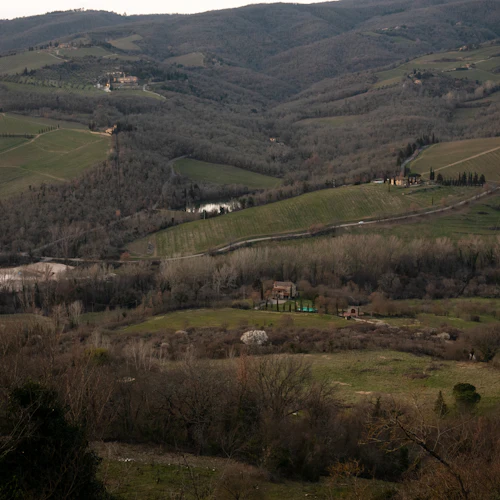 Chianti: Guided Wine Tour from Florence + Tasting - Photo 3