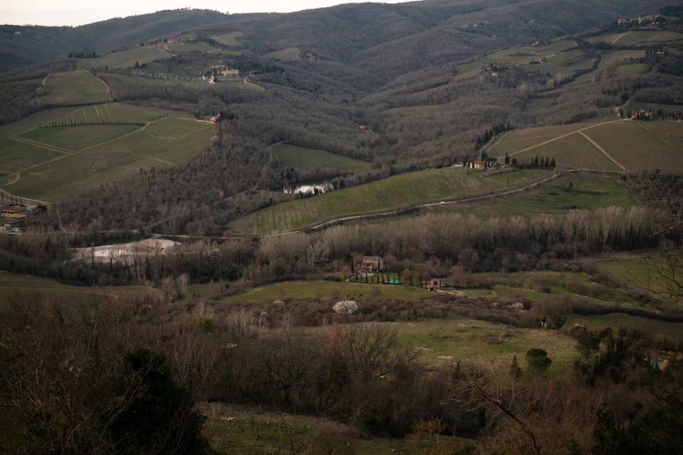 Chianti