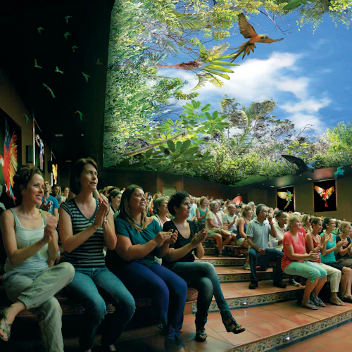 Loro Parque: Entry Ticket - Photo 2