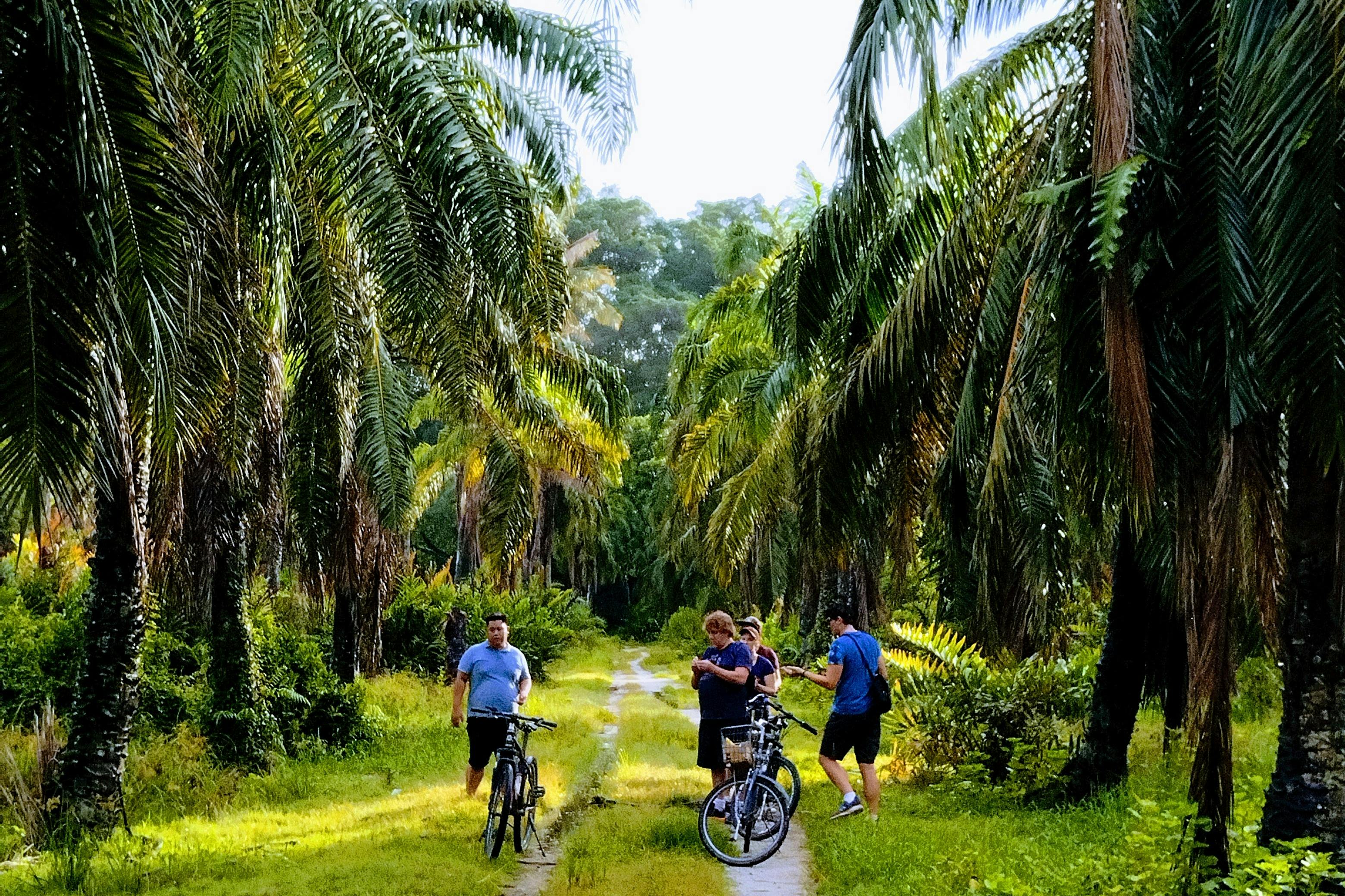 말레이시아 농장의 울창한 녹지를 경험해보세요.