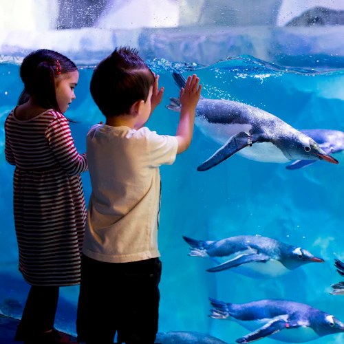 SEA LIFE Konstanz: Entry Ticket - Photo 6