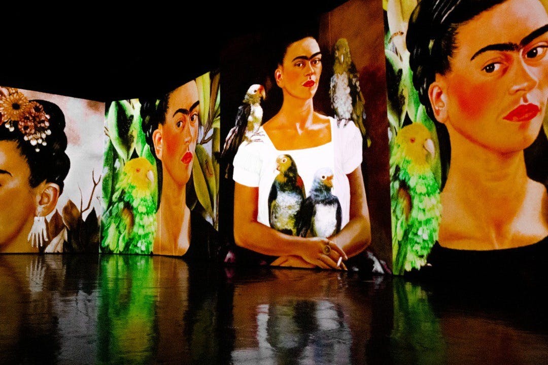 Un'opera d'arte luminosa a più pannelli che mostra ritratti di donne con uccelli che si riflettono su una superficie lucida.