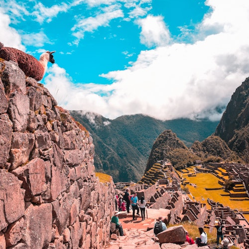 Machu Picchu: Entry Ticket + Guided Tour