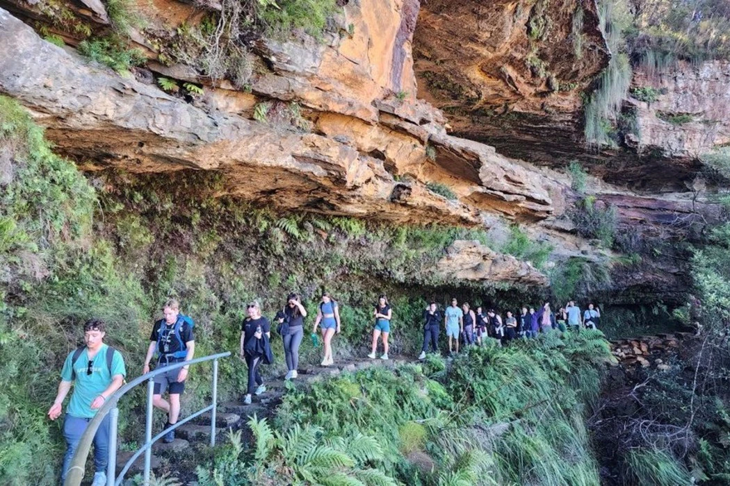 Blue Mountains: Full-Day Guided Tour from Sydney + Waterfall Walk + Lunch