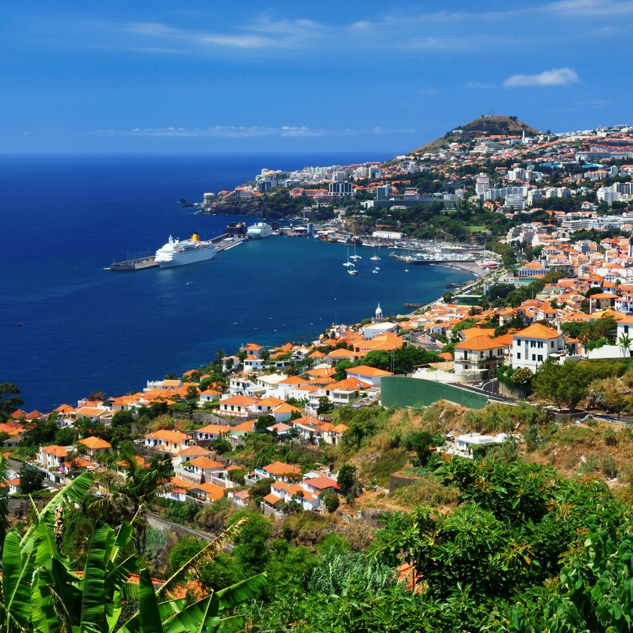 Bus Hop-on Hop-off Funchal: Tour 48 Ore 3 in 1 - Alloggi in Funchal