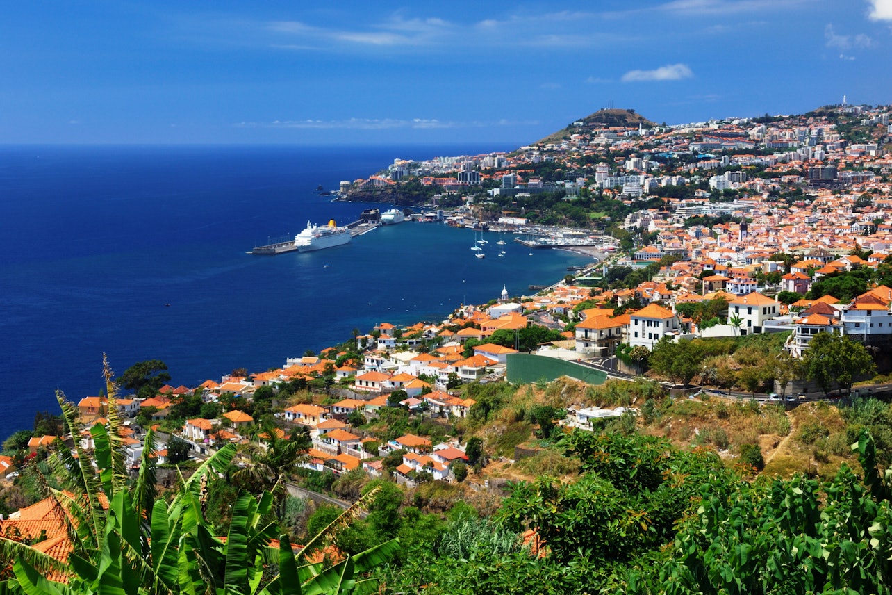 Autocarro hop-on hop-off Funchal: passeio 3 em 1 de 48 horas - Acomodações em Funchal