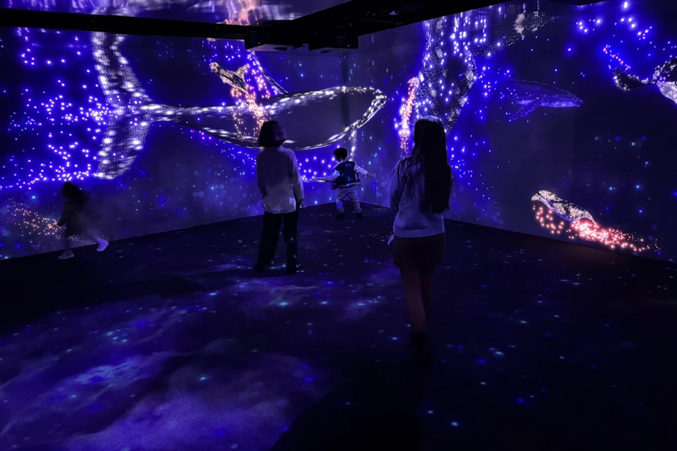 Lisbon Oceanarium