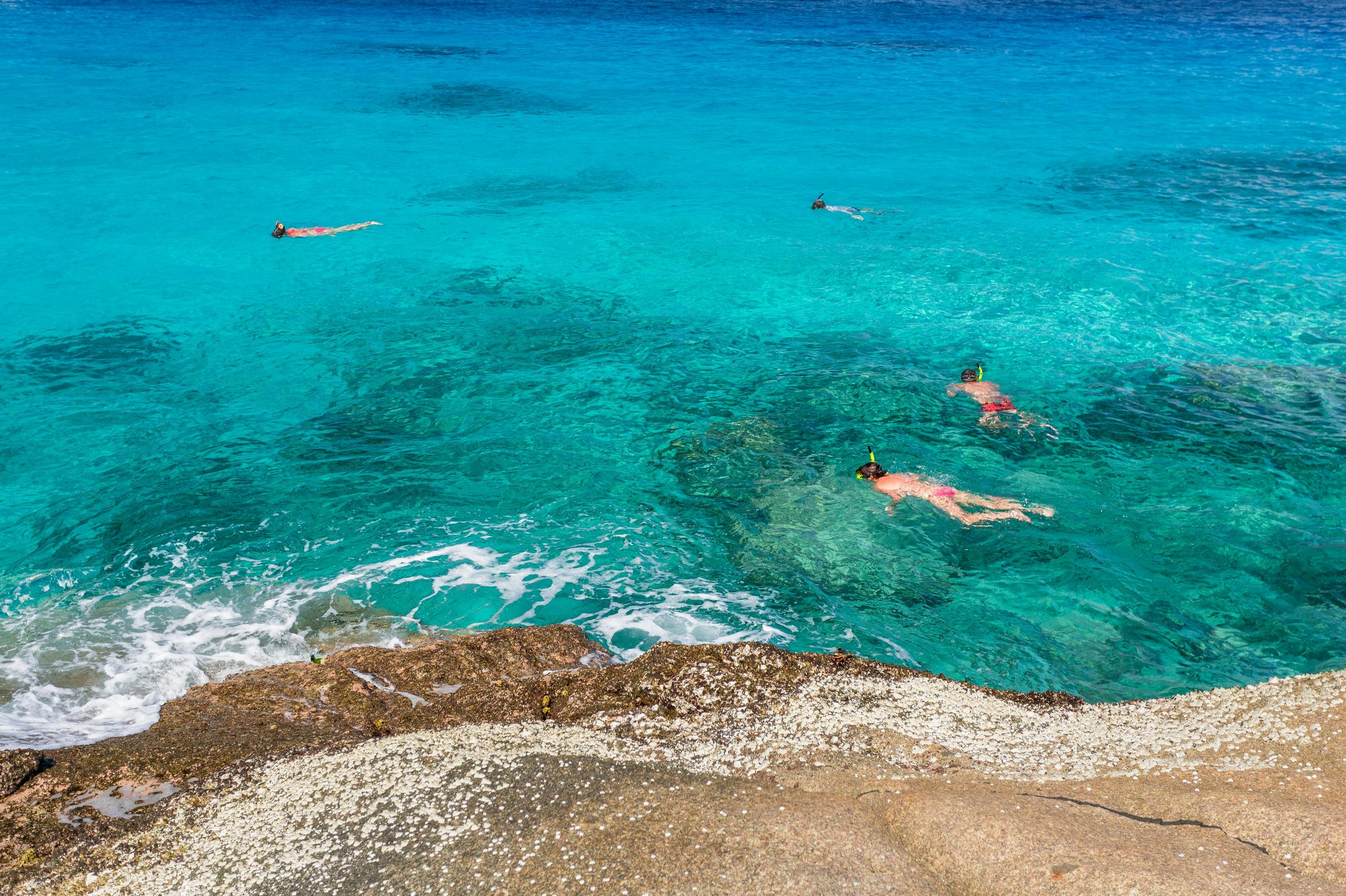 Θαύμασε την άφθονη θαλάσσια ζωή σε αυτά τα παρθένα υποβρύχια οικοσυστήματα.