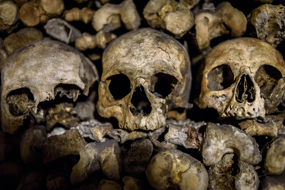 Catacombs of Paris: Guided Tour in English  in Paris