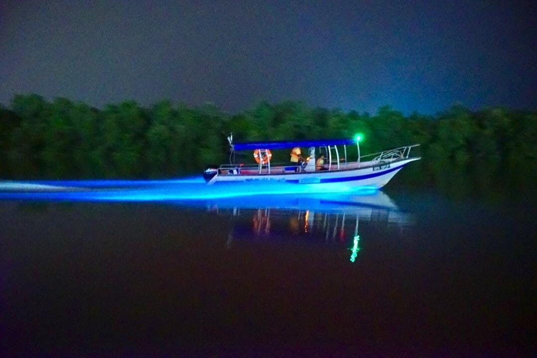 Um pequeno barco iluminado por luzes azuis desliza na água escura perto de uma floresta à noite.