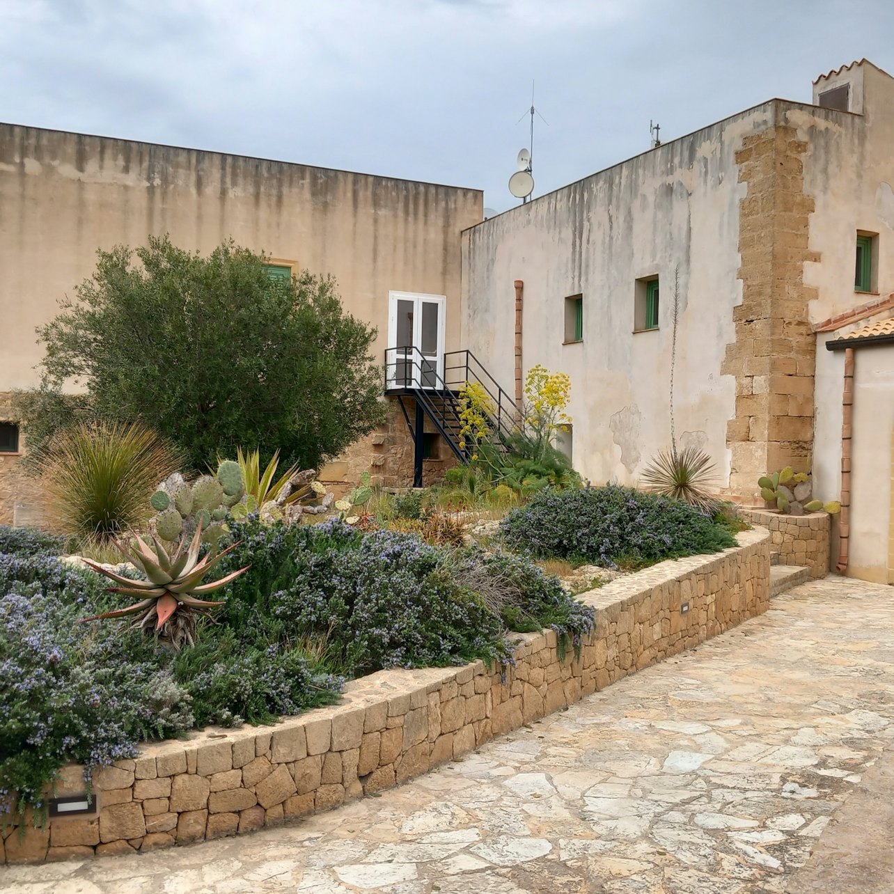 Gallery image 14