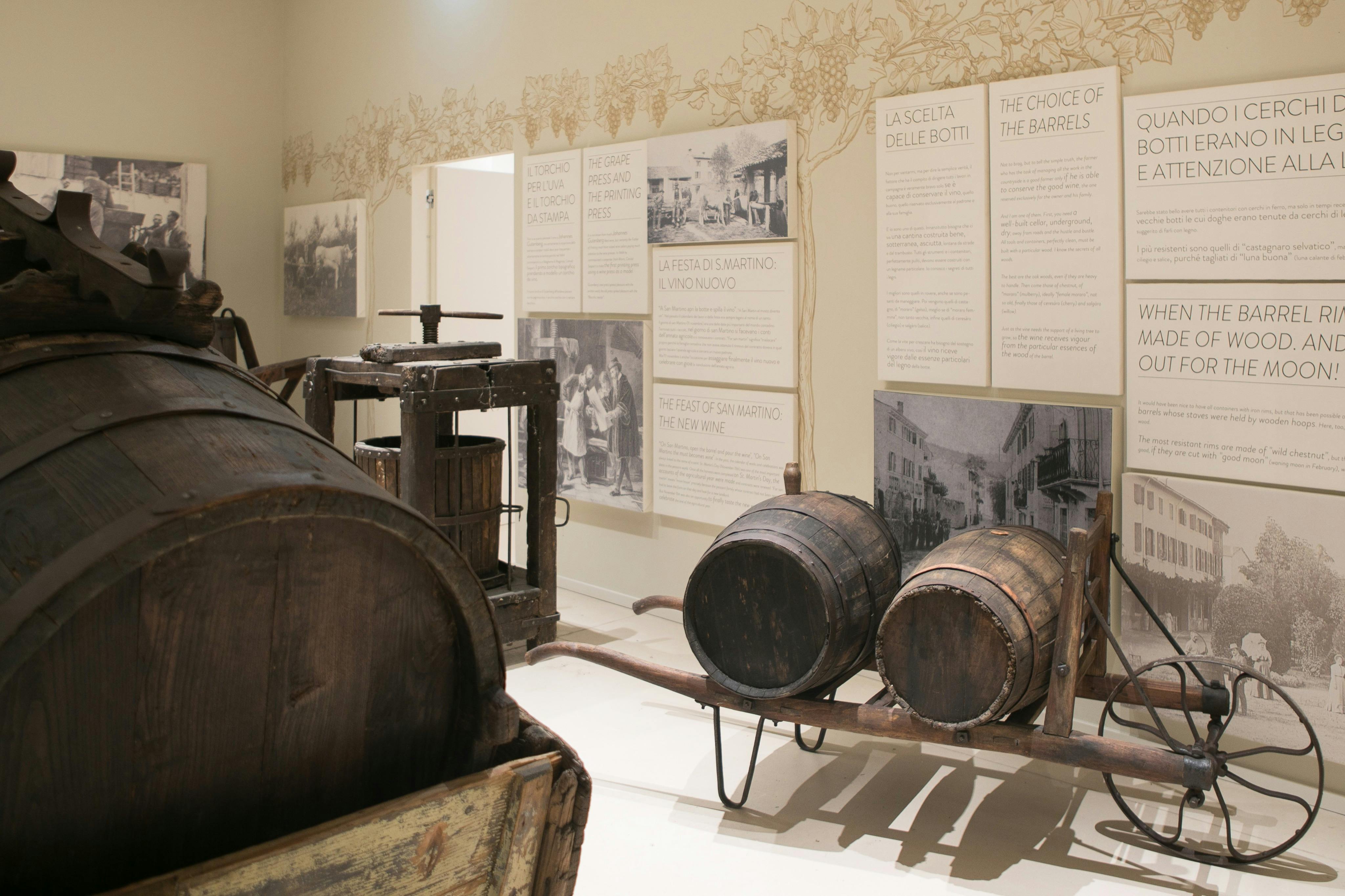 Verona: Wine Tasting Experience at Cantine Giacomo Montresor - Photo 4