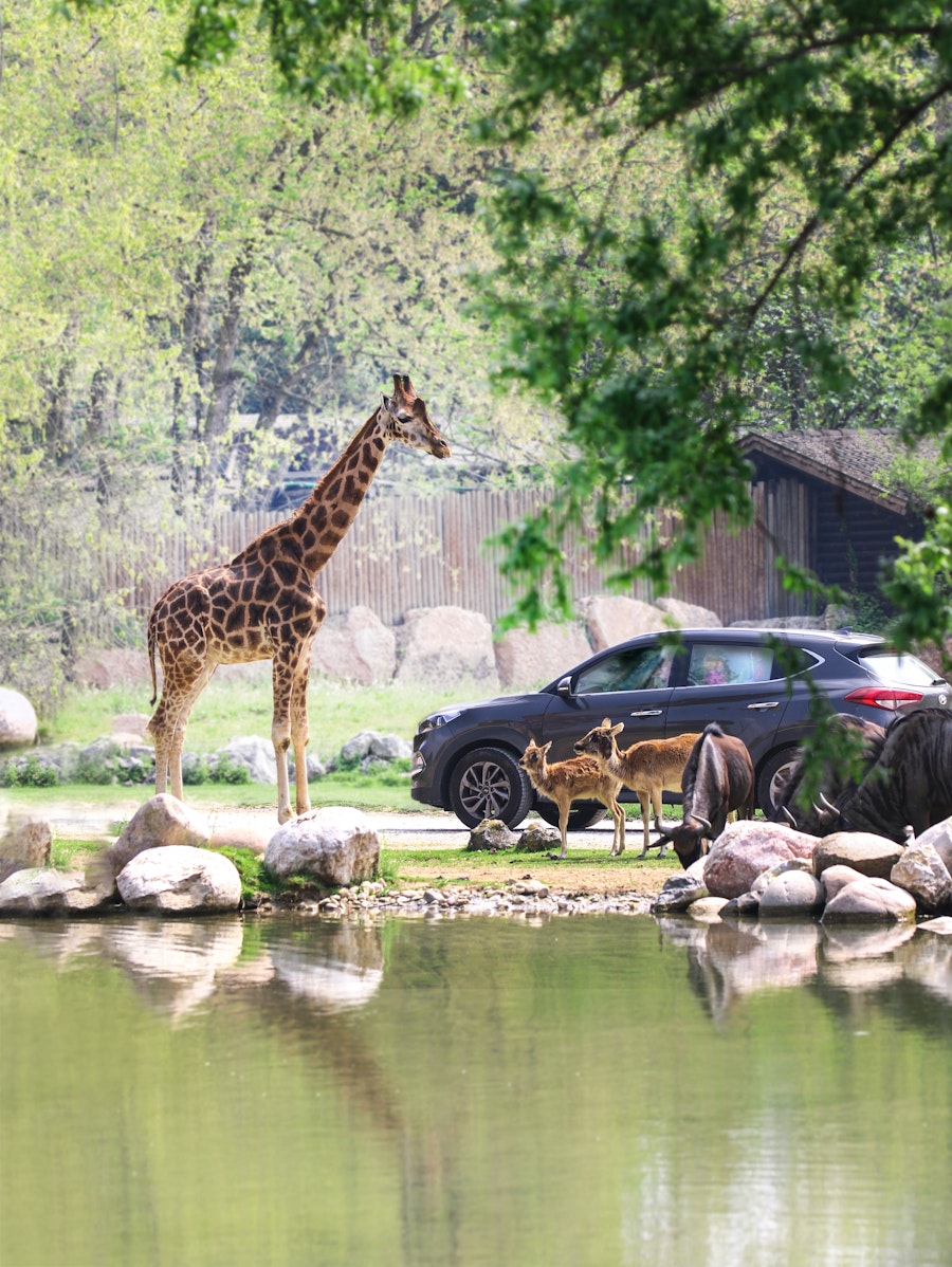 Bilety do Parco Natura Viva w Castelnuovo del Garda