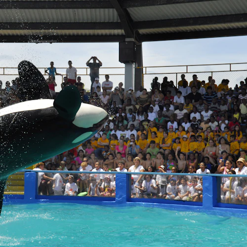 Miami All-Inclusive Pass: Entrada para mais de 30 atracções com o Zoo Miami - Photo 3
