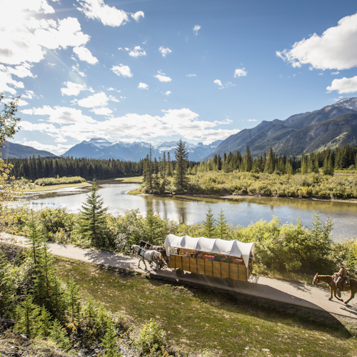Pícnic ranchero: Paseo a caballo o en carruaje desde Banff