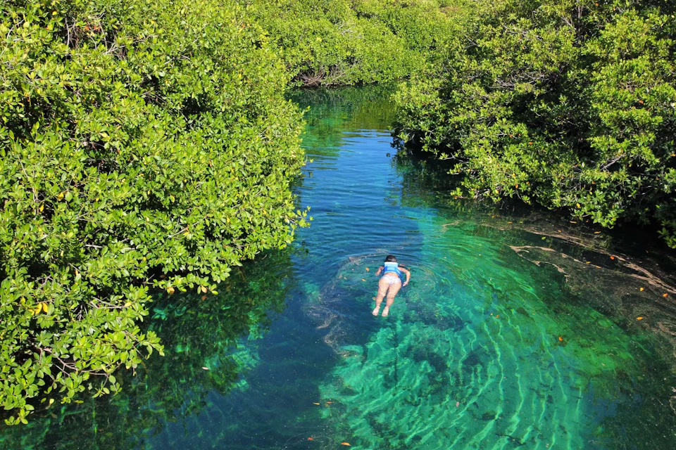 Cenote
