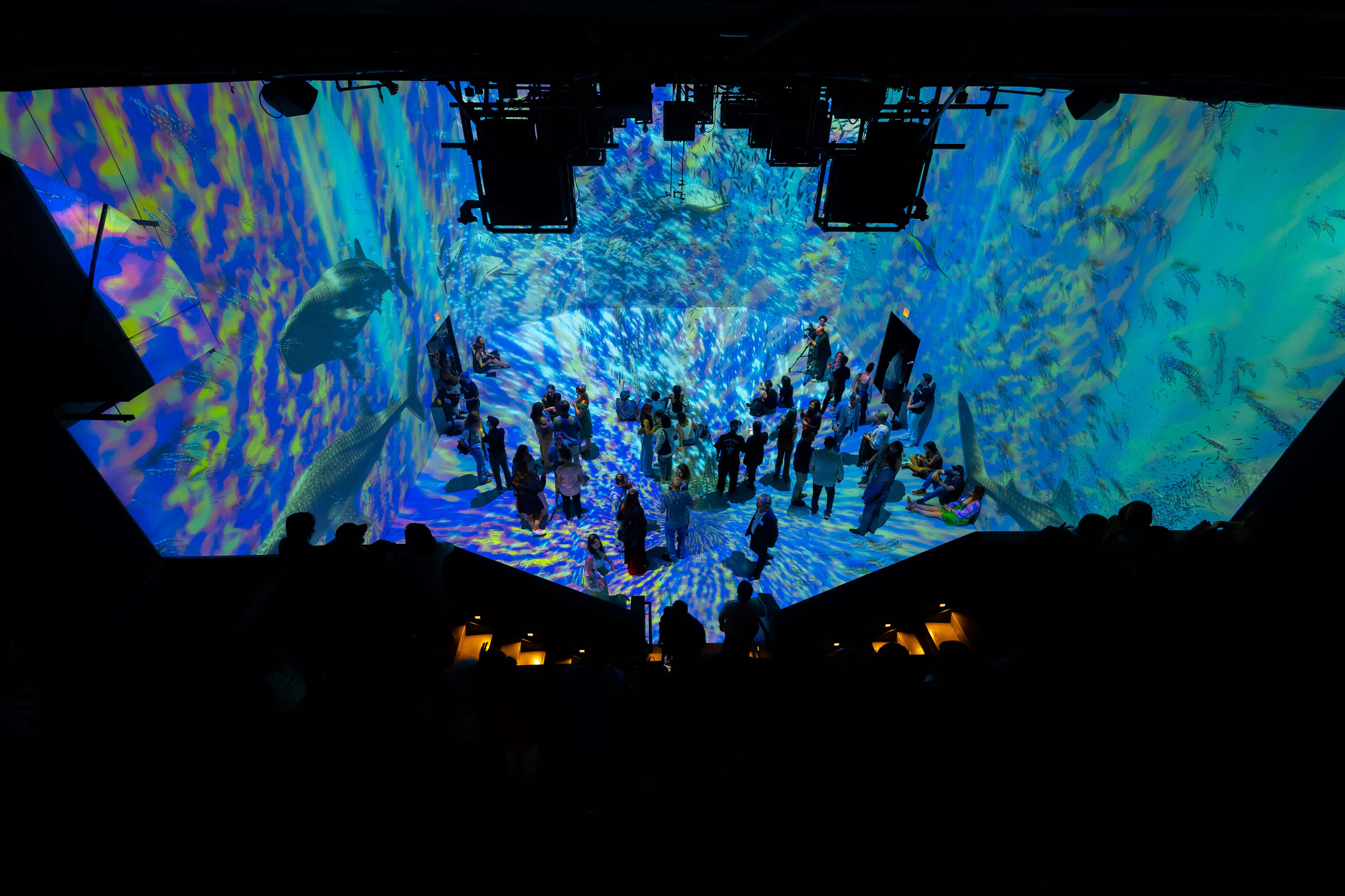 ARTECHOUSE Washington DC: Entry Ticket