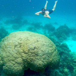 Phi Phi: Day Trip from Phuket + 4-Hour Private Longtail Tour 3