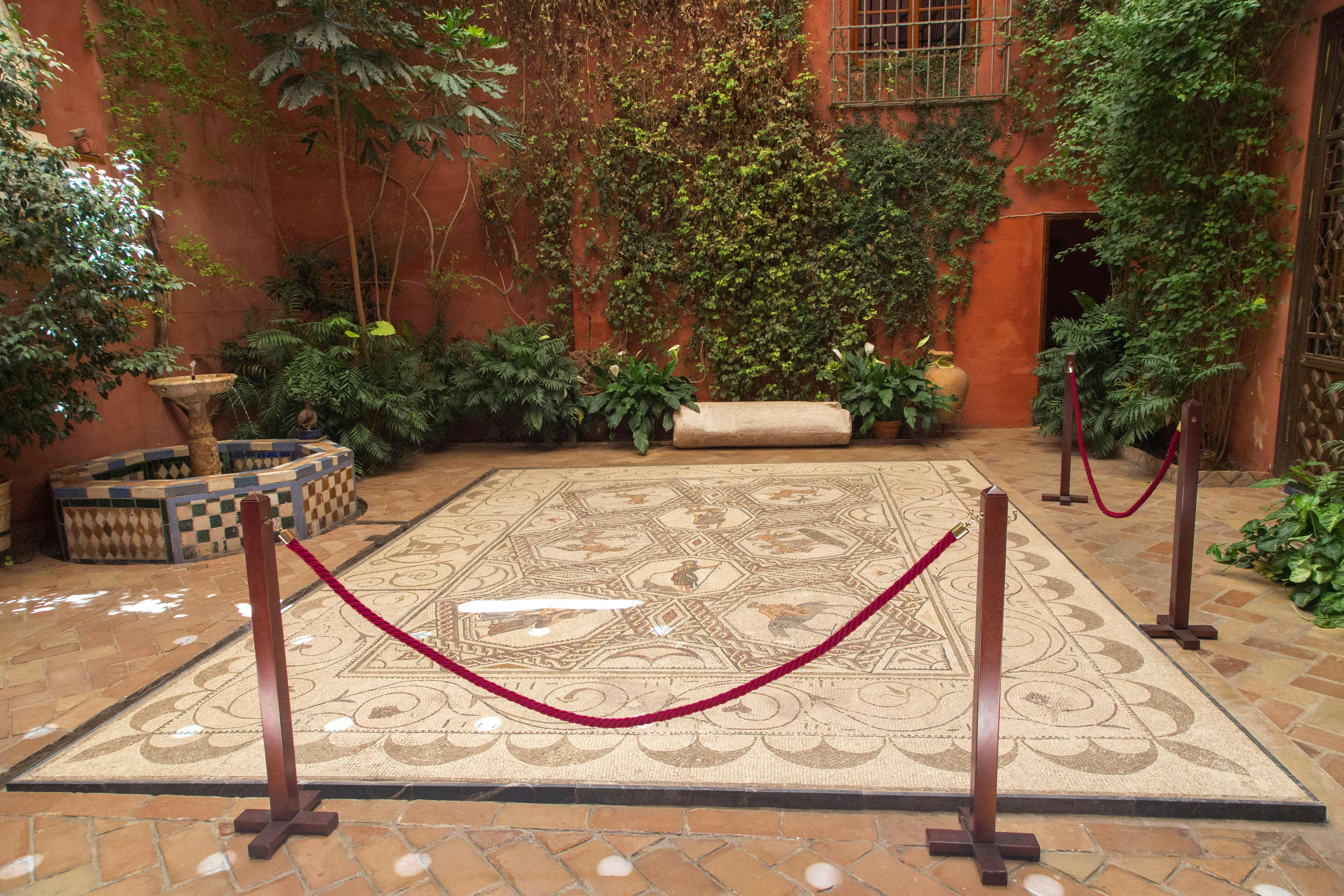 Ozdobna mozaikowa podłoga otoczona roślinami i linami, osadzona na dziedzińcu z pomarańczową ścianą i zielenią.