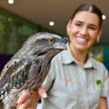 Zookeeper κρατώντας ένα Tawny frogmouth