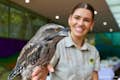 Zookeeper holding a Tawny frogmouth