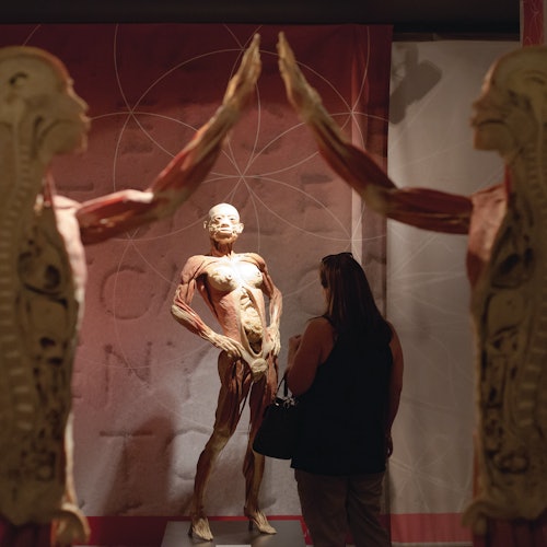 Tour Image 3