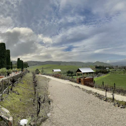 From San Francisco: Half-Day Wine Country Tour in destination