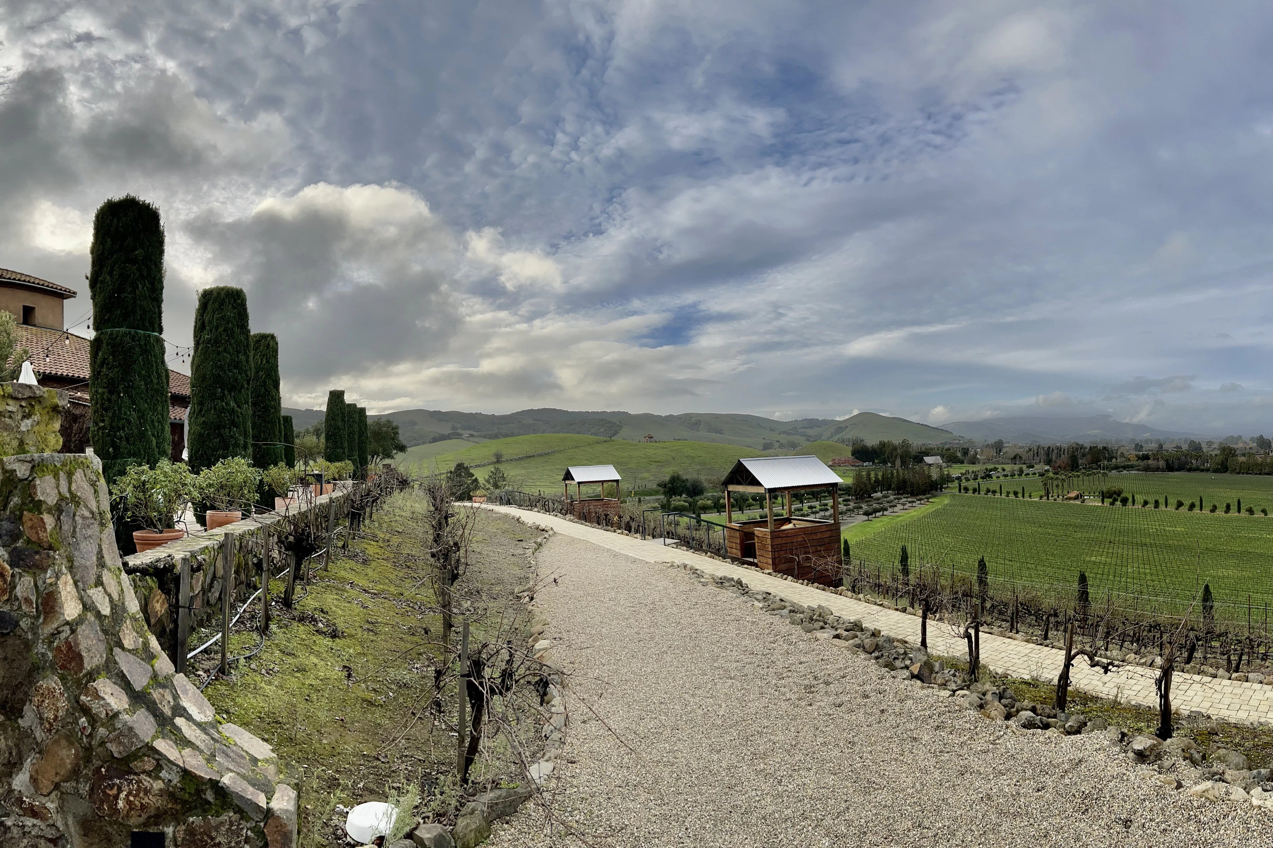 From San Francisco: Half-Day Wine Country Tour