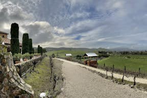 Uitzicht vanaf de wijnmakerij