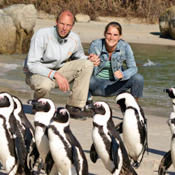 Boulders Beach & Cape Point: Half-Day Tour in destination