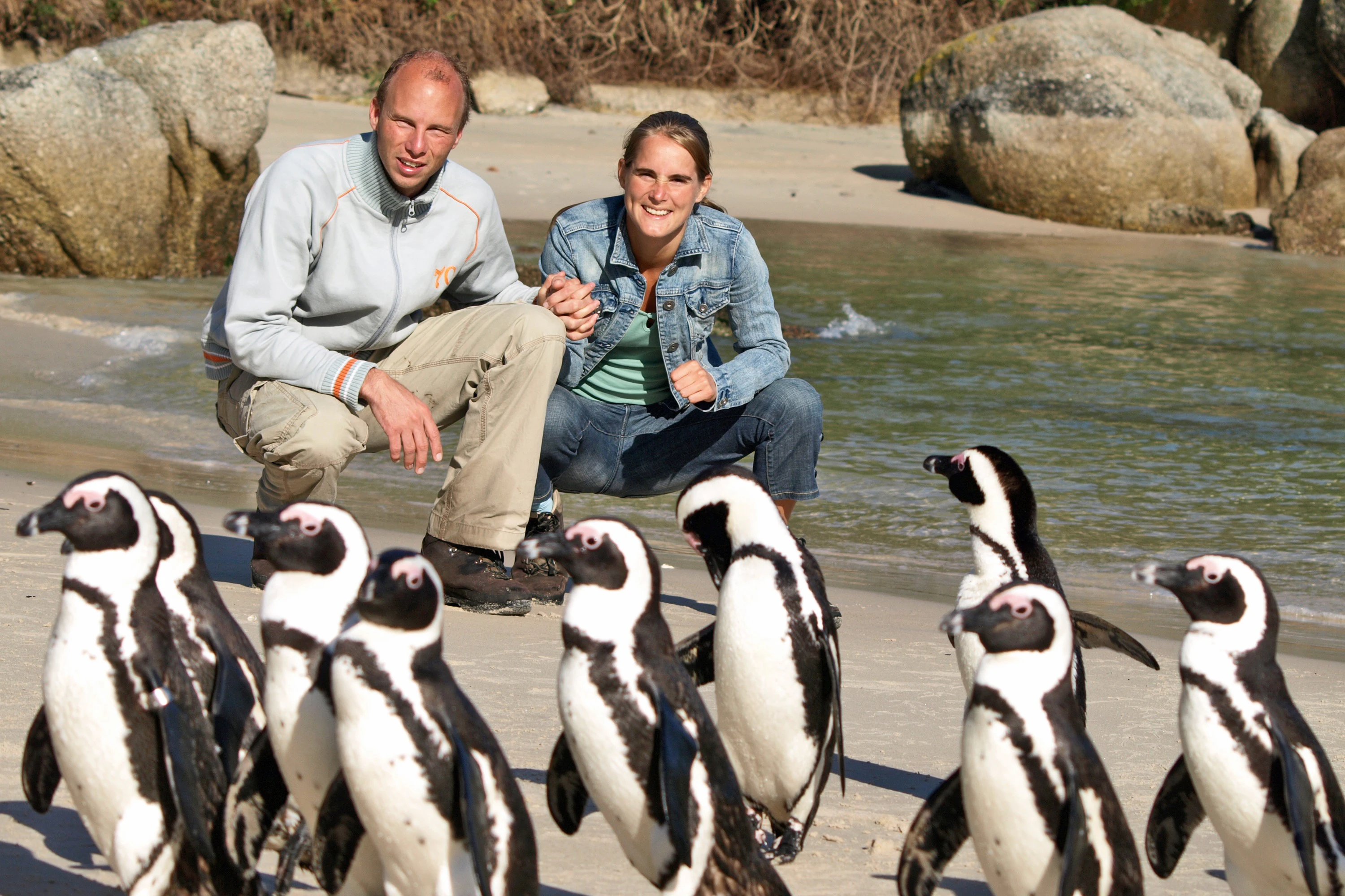 Boulders Beach & Cape Point: Half-Day Tour
