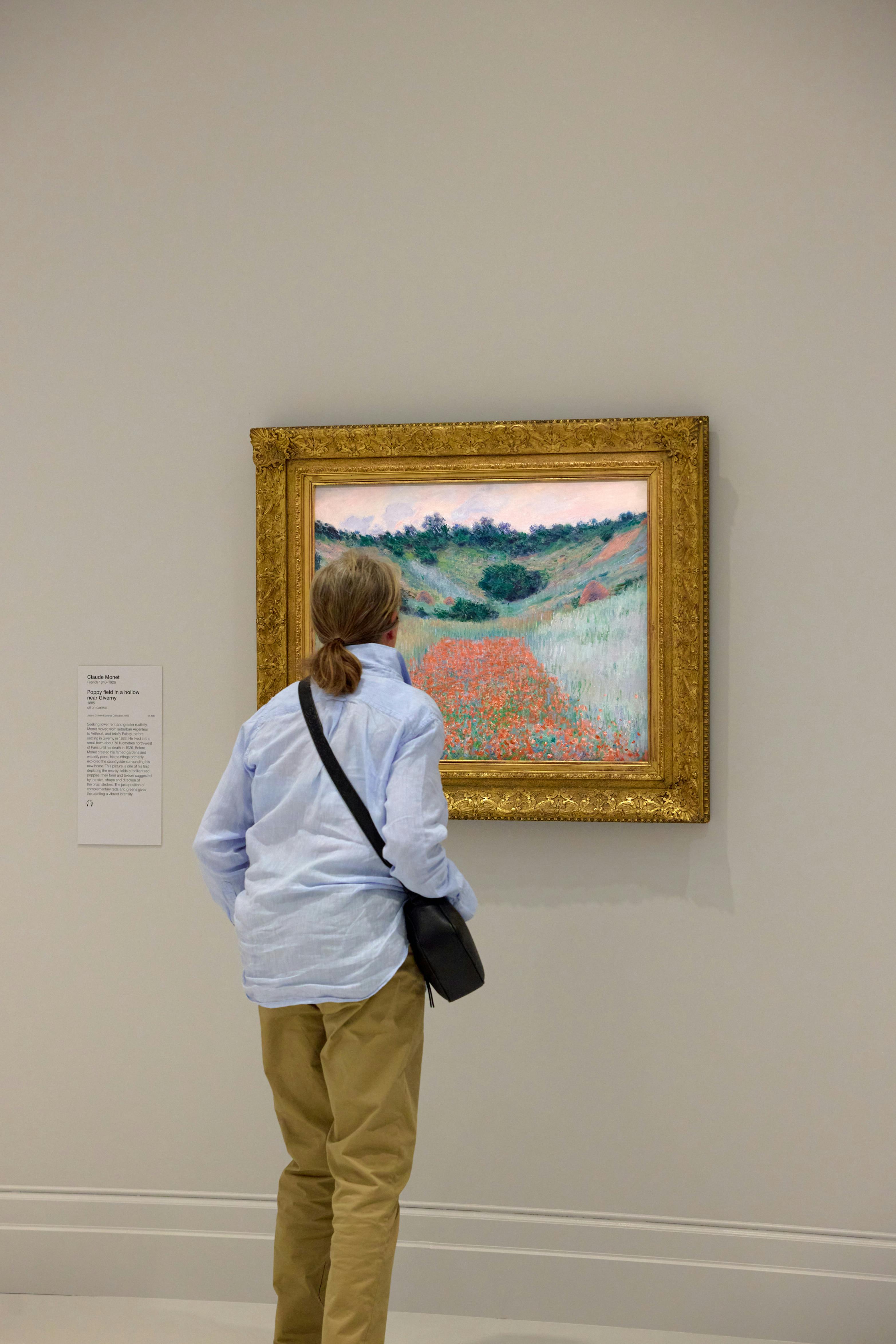 Osoba, která si prohlíží zarámovanou krajinomalbu louky s květinami na zdi galerie, nedaleko je popisná deska.