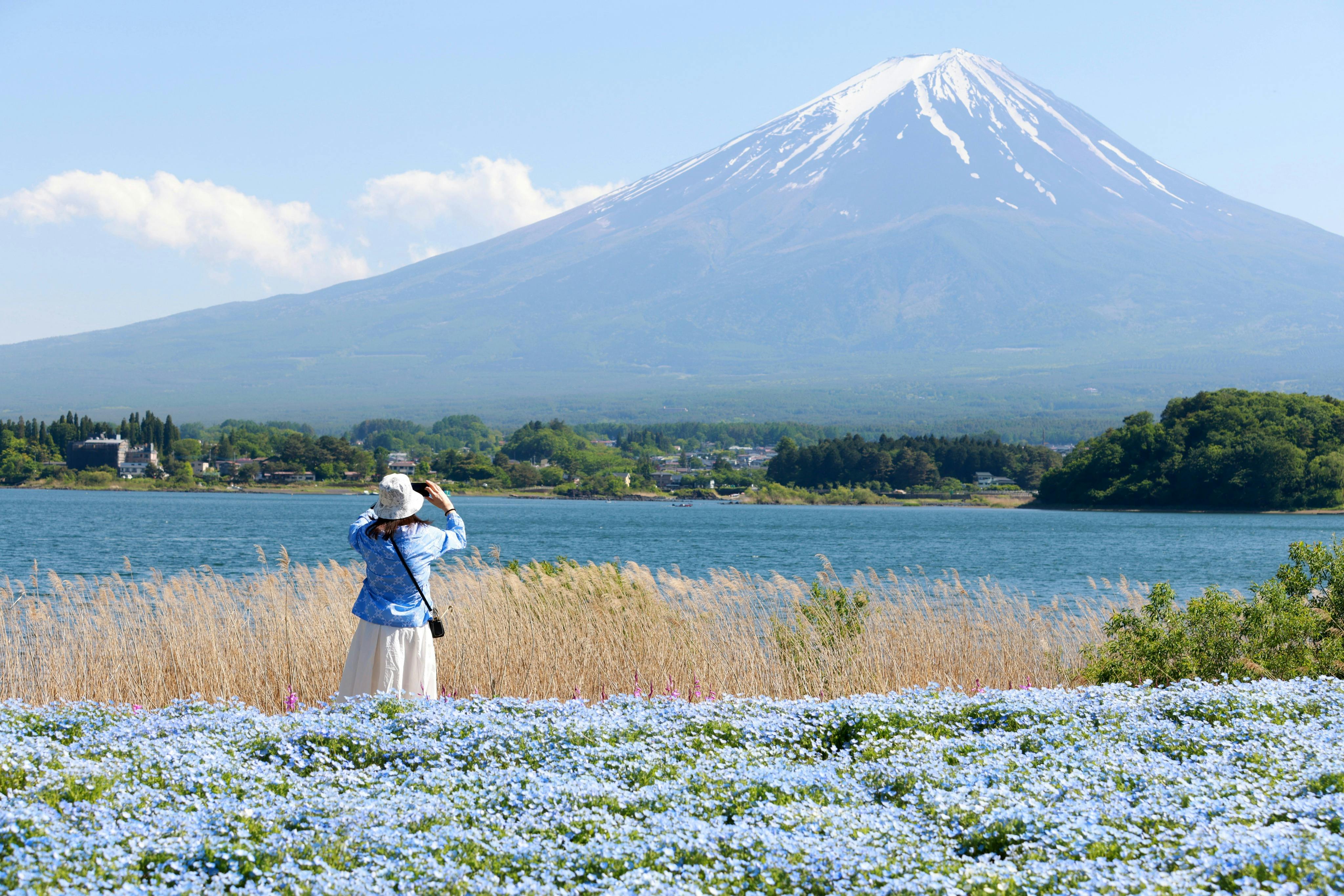 Monte Fuji: Visita guiada de um dia a partir de Tóquio - Photo 4