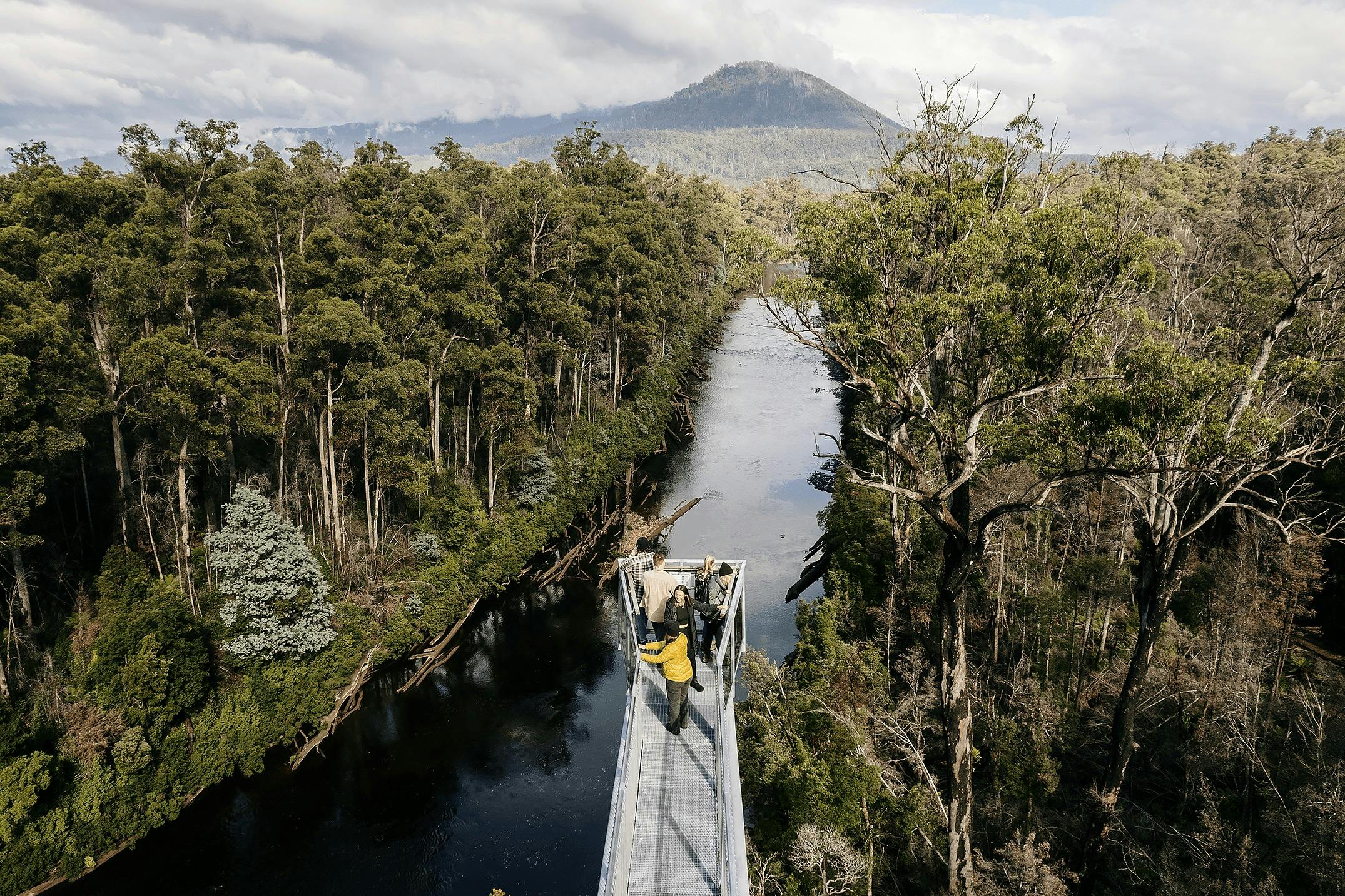 Tahune AirWalk: Entry Ticket