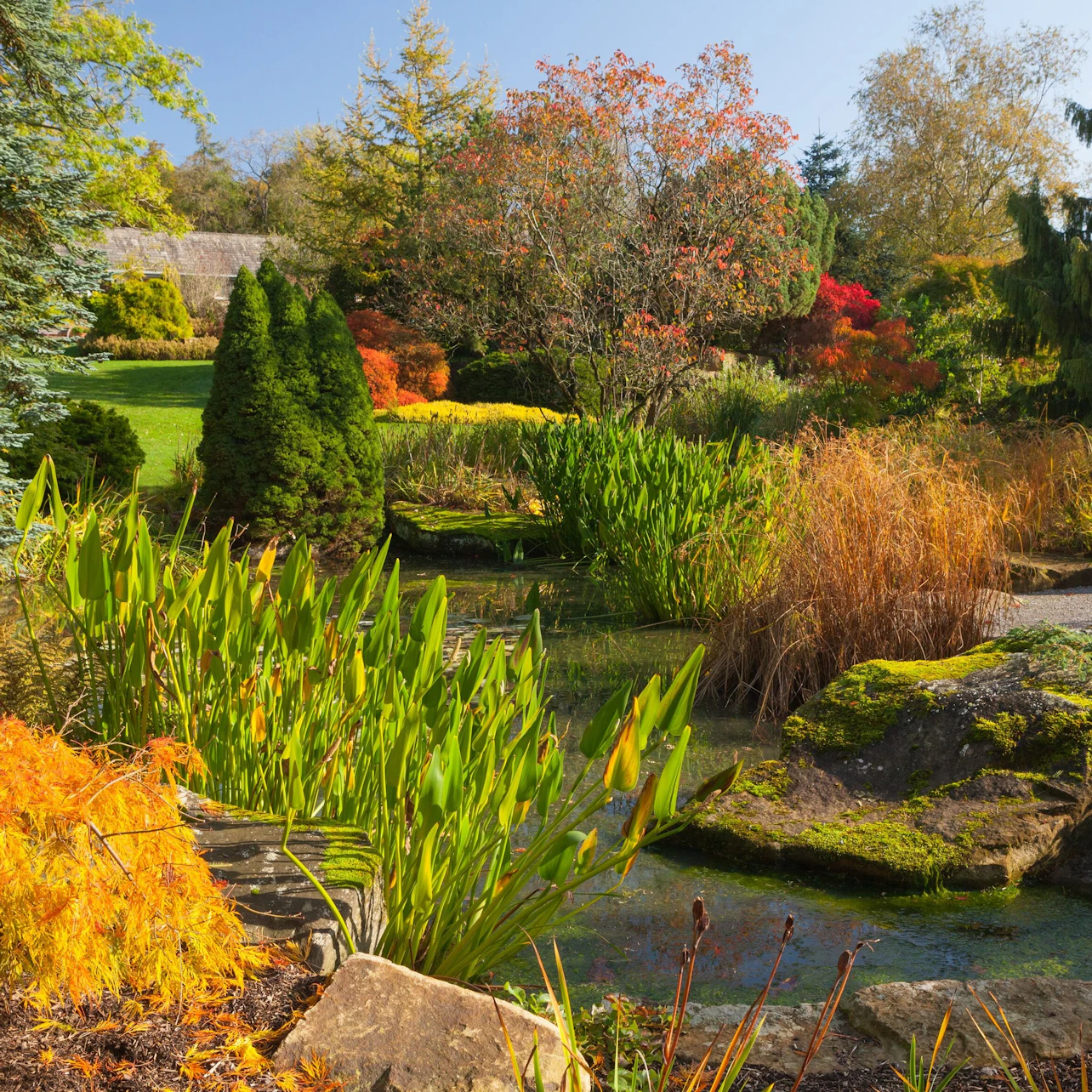 RHS Garden Harlow Carr: Entry Ticket