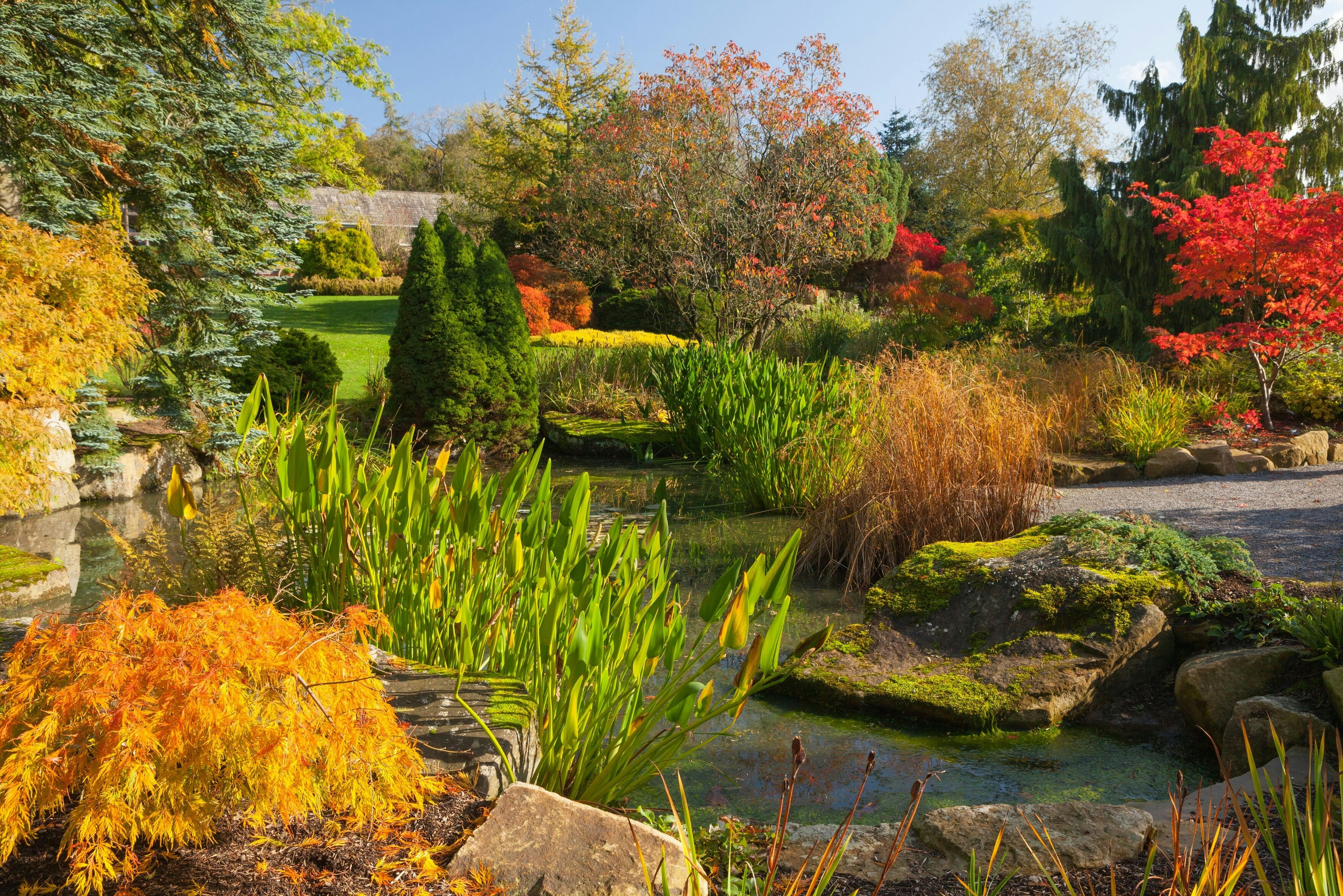 RHS Garden Harlow Carr: bilhete de entrada