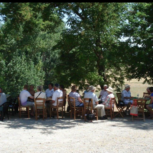 Corfu: Winery Tour + Wine & Olive Tasting - Photo 34