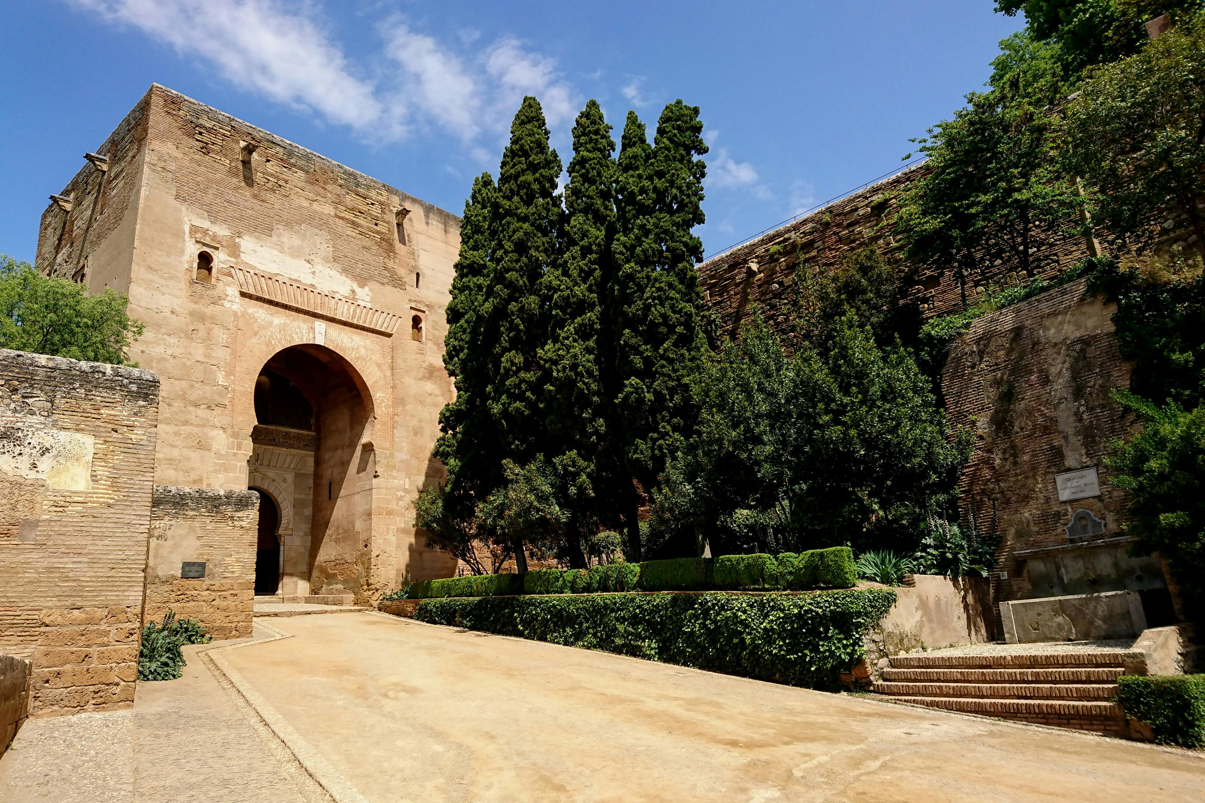 Alhambra e Palazzi nazarì: Tour guidato + Biglietto d'ingresso prioritario — 8